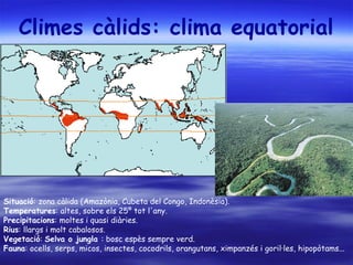 Climes càlids: clima equatorial  Situació : zona càlida (Amazònia, Cubeta del Congo, Indonèsia). Temperatures : altes, sobre els 25º tot l'any.  Precipitacions : moltes i quasi diàries. Rius : llargs i molt cabalosos. Vegetació :  Selva o jungla  : bosc espès sempre verd. Fauna : ocells, serps, micos, insectes, cocodrils, orangutans, ximpanzés i goril·les, hipopòtams... 
