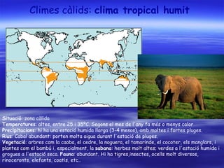 Climes càlids:  clima tropical humit  Situació : zona càlida  Temperatures : altes, entre 25 i 35ºC. Segons el mes de l'any fa més o menys calor  Precipitacions : hi ha una estació humida llarga (3-4 mesos), amb moltes i fortes pluges.  Rius : Cabal abundant: porten molta aigua durant l'estació de pluges. Vegetació : arbres com la caoba, el cedre, la noguera, el tamarinde, el cocoter, els manglars, i plantes com el bambú i, especialment, la  sabana : herbes molt altes; verdes a l'estació humida i grogues a l'estació seca.  Fauna : abundant. Hi ha tigres,insectes, ocells   molt diversos, rinoceronts, elefants, coatis, etc..  