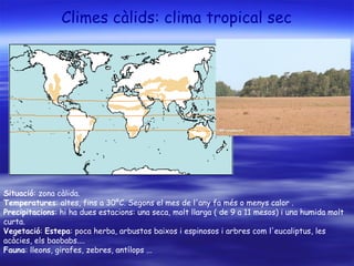Climes càlids: clima tropical sec Situació : zona càlida. Temperatures : altes, fins a 30ºC. Segons el mes de l'any fa més o menys calor . Precipitacions : hi ha dues estacions: una seca, molt llarga ( de 9 a 11 mesos) i una humida molt curta. Vegetació :  Estepa : poca herba, arbustos baixos i espinosos i arbres com l'eucaliptus, les acàcies, els baobabs....  Fauna : lleons, girafes, zebres, antílops ... 