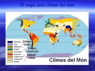 El mapa dels climes del món 
