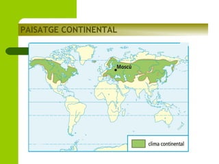 PAISATGE CONTINENTAL

 