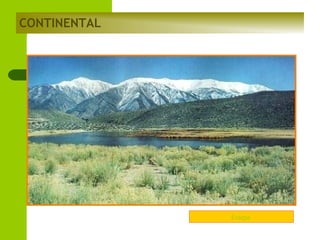 CONTINENTAL

Estepa

 