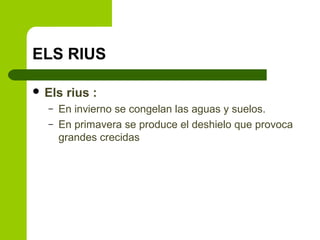 ELS RIUS
 Els
–
–

rius :

En invierno se congelan las aguas y suelos.
En primavera se produce el deshielo que provoca
grandes crecidas

 