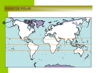PAISATGE POLAR

 