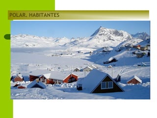 POLAR. HABITANTES

 