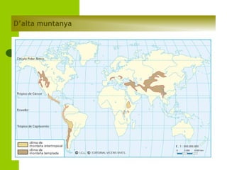 D’alta muntanya

 