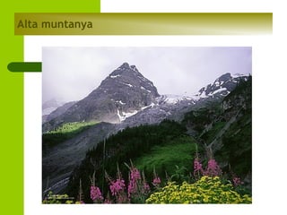 Alta muntanya

 