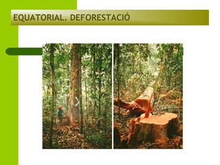 EQUATORIAL. DEFORESTACIÓ

 