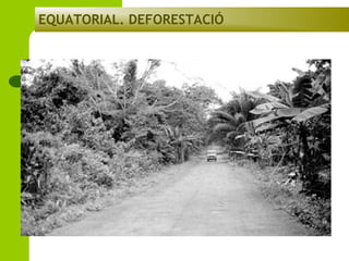 EQUATORIAL. DEFORESTACIÓ

 