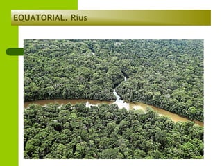 EQUATORIAL. Rius

 