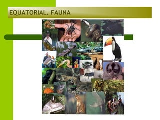 EQUATORIAL. FAUNA

 