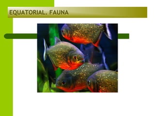EQUATORIAL. FAUNA

 