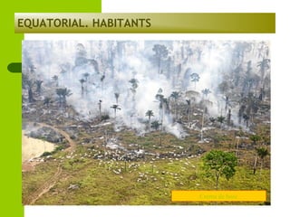 EQUATORIAL. HABITANTS

Crema de bosc

 