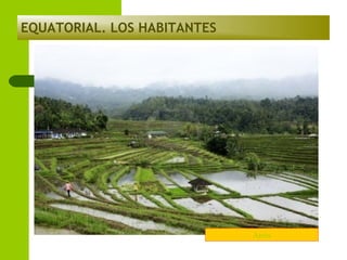EQUATORIAL. LOS HABITANTES

Arròs

 