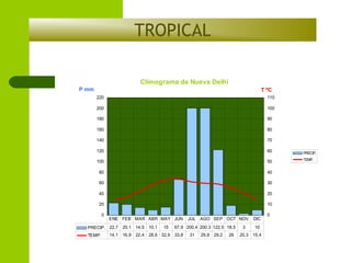 TROPICAL
Climograma de Nueva Delhi
P mm

T ºC
220

110

200

100

180

90

160

80

140

70

120

60

100

50

80

40

60

30

40

20

20

10

0

ENE FEB MAR ABR MAY JUN

PRECIP. 22,7 20,1 14,5 10,1
TEMP.

15

JUL AGO SEP OCT NOV

67,9 200,4 200,3 122,5 18,5

14,1 16,9 22,4 28,6 32,9 33,8

31

29,8 29,2

26

3

DIC
10

20,3 15,4

0

PRECIP.
TEMP.

 