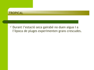 TROPICAL
Els

rius:


Durant l’estació seca gairabé no duen aigua I a
l’època de pluges experimenten grans crescudes.

 
