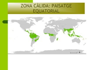 ZONA CÀLIDA: PAISATGE
EQUATORIAL

 
