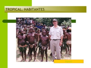 TROPICAL. HABITANTES

Pigmeus

 
