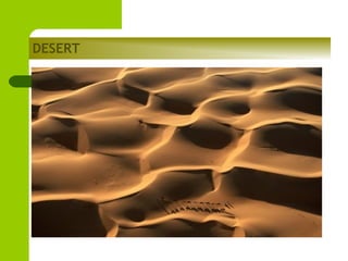 DESERT

 