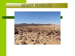 DESERT PEDREGÓS

 