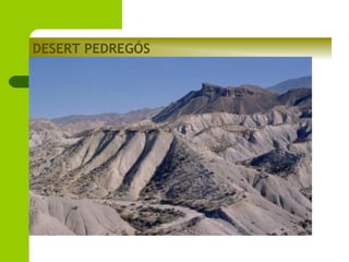 DESERT PEDREGÓS

 