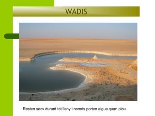 WADIS

Resten secs durant tot l’any i només porten aigua quan plou

 