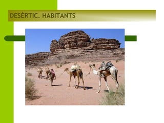 DESÈRTIC. HABITANTS

 