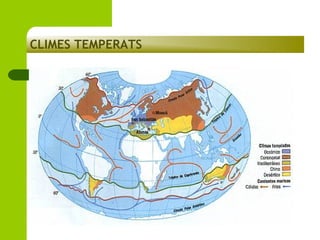 CLIMES TEMPERATS

 