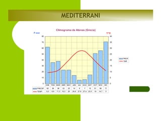 MEDITERRANI
Climograma de Atenas (Grecia)
P mm

T ºC
80

40

70

35

60

30

50

25

40

20

30

15

20

10

10

5

0

ENE FEB MAR ABR MAY JUN

PRECIP.

62

36

TEMP.

9,3

9,9

38

23

11,3 15,3

23

14

20

24,6

JUL AGO SEP
6

7

15

27,6 27,4 23,5

OCT NOV

DIC

51

56

71

19

14,7

11

0

PRECIP.
TEMP.

 