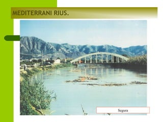MEDITERRANI RIUS.

Segura

 