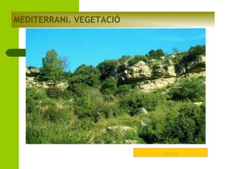 MEDITERRANI. VEGETACIÓ

Garriga

 