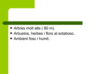  Arbres

molt alts ( 80 m).
 Arbustos, herbes i flors al sotabosc.
 Ambient fosc i humit.

 