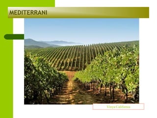 MEDITERRANI

Vinya California

 