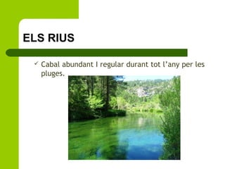 ELS RIUS


Cabal abundant I regular durant tot l’any per les
pluges.

 