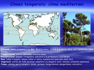 Climes temperats: clima mediterrani
Situació: zones properes a la Mar Mediterrània; també a d'altres llocs com Califòrnia i Sud
Àfrica.
Temperatures: estius calorosos; hiverns suaus.
Precipitacions: poques i irregulars; sobretot a la primavera i a la tardor.
Rius: cabal irregular; menys cabal a l'estiu; inundacions quan plou molt fort.
Vegetació: arbres de fulla perenne adaptats a la sequera: pins i alzines; arbustos espinosos.
Fauna: cabres, porcs senglars, serps, guineus, llangardaixos, sargantanes, escorpins...
 
