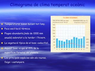 Climograma de clima temperat oceànic
Temperatures suaus durant tot l’any.
Poca oscil·lació tèrmica.
Pluges abundants,(més de 1000 mm
anuals) sobretot a la tardor i l’hivern.
La vegetació típica és el bosc caducifoli.
Aquest bosc ocupa el 15% de la
superfície forestal del planeta
Les principals espècies són els roures,
faigs i castanyers.
 