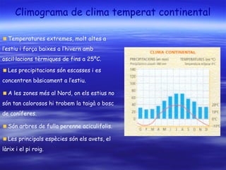 Climograma de clima temperat continental
Temperatures extremes, molt altes a
l’estiu i força baixes a l’hivern amb
oscil·lacions tèrmiques de fins a 25ºC.
Les precipitacions són escasses i es
concentren bàsicament a l’estiu.
A les zones més al Nord, on els estius no
són tan calorosos hi trobem la taigà o bosc
de coníferes.
Són arbres de fulla perenne aciculifolis.
Les principals espècies són els avets, el
làrix i el pi roig.
 