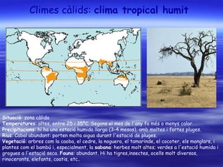 Climes càlids: clima tropical humit
Situació: zona càlida
Temperatures: altes, entre 25 i 35ºC. Segons el mes de l'any fa més o menys calor
Precipitacions: hi ha una estació humida llarga (3-4 mesos), amb moltes i fortes pluges.
Rius: Cabal abundant: porten molta aigua durant l'estació de pluges.
Vegetació: arbres com la caoba, el cedre, la noguera, el tamarinde, el cocoter, els manglars, i
plantes com el bambú i, especialment, la sabana: herbes molt altes; verdes a l'estació humida i
grogues a l'estació seca. Fauna: abundant. Hi ha tigres,insectes, ocells molt diversos,
rinoceronts, elefants, coatis, etc..
 