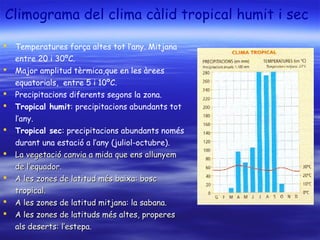 Climograma del clima càlid tropical humit i sec
 Temperatures força altes tot l’any. Mitjana
entre 20 i 30ºC.
 Major amplitud tèrmica,que en les àrees
equatorials, entre 5 i 10ºC.
 Precipitacions diferents segons la zona.
 Tropical humit: precipitacions abundants tot
l’any.
 Tropical sec: precipitacions abundants només
durant una estació a l’any (juliol-octubre).
 La vegetació canvia a mida que ens allunyemLa vegetació canvia a mida que ens allunyem
de l’equador.de l’equador.
 A les zones de latitud més baixa: boscA les zones de latitud més baixa: bosc
tropical.tropical.
 A les zones de latitud mitjana: la sabana.A les zones de latitud mitjana: la sabana.
 A les zones de latituds més altes, properesA les zones de latituds més altes, properes
als deserts: l’estepa.als deserts: l’estepa.
 
