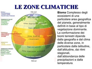 LE ZONE CLIMATICHELE ZONE CLIMATICHE
Bioma Complesso degli
ecosistemi di una
particolare area geografica
del pianeta, generalmente
definiti in base al tipo di
vegetazione dominante.
La conformazione dei
biomi terrestri dipende
dalla geografia e dal clima
delle diverse zone, in
particolare dalla latitudine,
dall’altitudine, dai ritmi
stagionali,
dall’abbondanza delle
precipitazioni e dalla
temperatura.
 