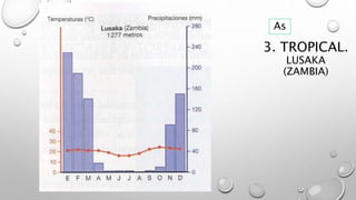 3. TROPICAL.
LUSAKA
(ZAMBIA)
As
 
