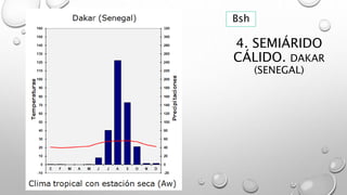 4. SEMIÁRIDO
CÁLIDO. DAKAR
(SENEGAL)
Bsh
 