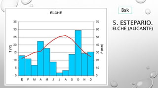 5. ESTEPARIO.
ELCHE (ALICANTE)
Bsk
 