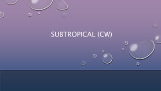 SUBTROPICAL (CW)
 