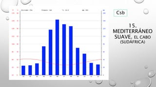 15.
MEDITERRÁNEO
SUAVE. EL CABO
(SUDÁFRICA)
Csb
 