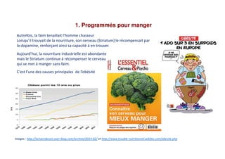 1. Programmés pour manger
Autrefois, la faim tenaillait l’homme chasseur
Lorsqu’il trouvait de la nourriture, son cerveau (Striatum) le récompensait par
la dopamine, renforçant ainsi sa capacité à en trouver.
Aujourd’hui, la nourriture industrielle est abondante
mais le Striatum continue à récompenser le cerveau
qui se met à manger sans faim.
C’est l’une des causes principales de l’obésité
Images : http://actuendessin.over-blog.com/archive/2014-02/ et http://www.trouble-nutritionnel.wikibis.com/obesite.php
 