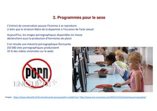 2. Programmés pour le sexe
L’instinct de conservation pousse l’homme à se reproduire
si bien que le striatum libère de la dopamine à l’occasion de l’acte sexuel.
Aujourd’hui, les images pornographiques disponibles en masse
déclenchent aussi la production d’hormones de plaisir
Il en résulte une industrie pornographique florissante
(50 000 sites pornographiques produiraient
35 % des vidéos visionnées sur le web)
Images : https://www.infocatho.fr/de-lenvahissante-pornographie-a-laddiction/ http://www.actu-economie.com/2016/12/12/streaming-pornographie/
 
