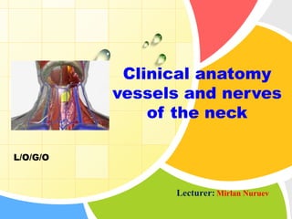 L/O/G/O
Lecturer: Mirlan Nuruev
Clinical anatomy
vessels and nerves
of the neck
 