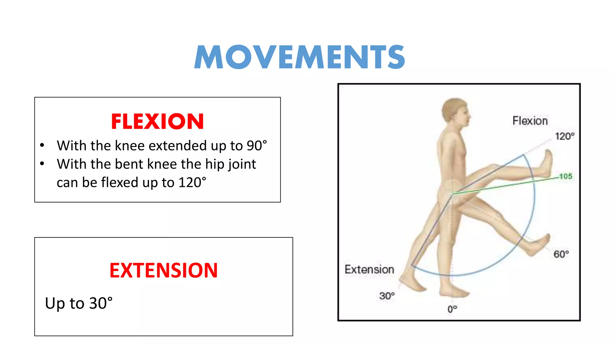 Clinical examination of hip | PPTX