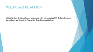 MECANISMO DE ACCION
Inhibe la síntesis de proteínas uniéndose a las subunidades 50S de los ribosomas
bacterianos y evitando la formación de uniones peptídicas
 